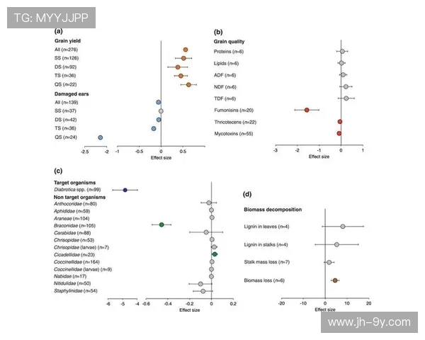足球运动员转项后如何选择适合的职业发展道路与核心竞争力分析